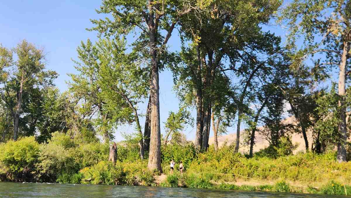 Rope Swing Splash